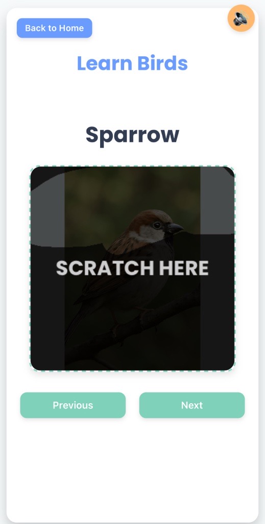 Birds Scratch Card Game