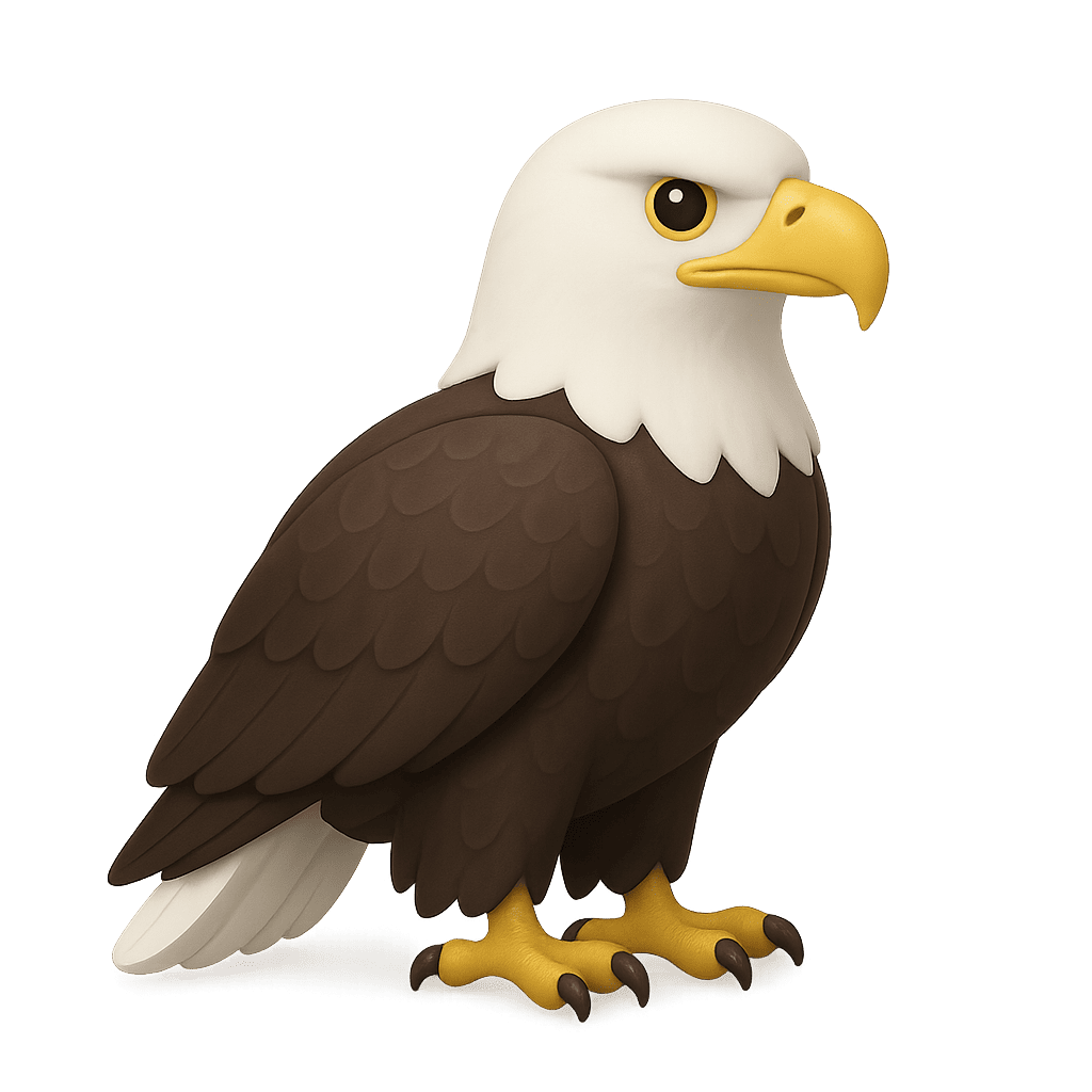 Majestic eagle flying in sky for kids learning