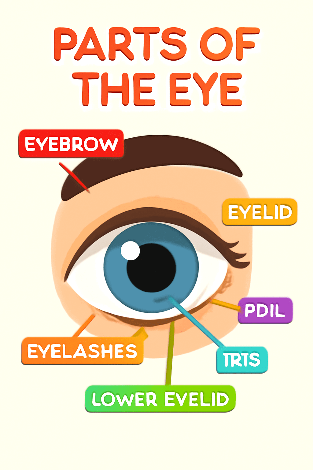 Child's eyes with big smile for kids learning