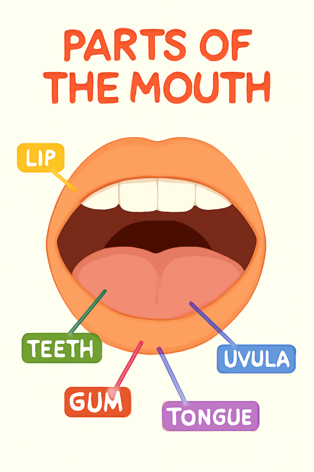 Child's smiling mouth for kids learning