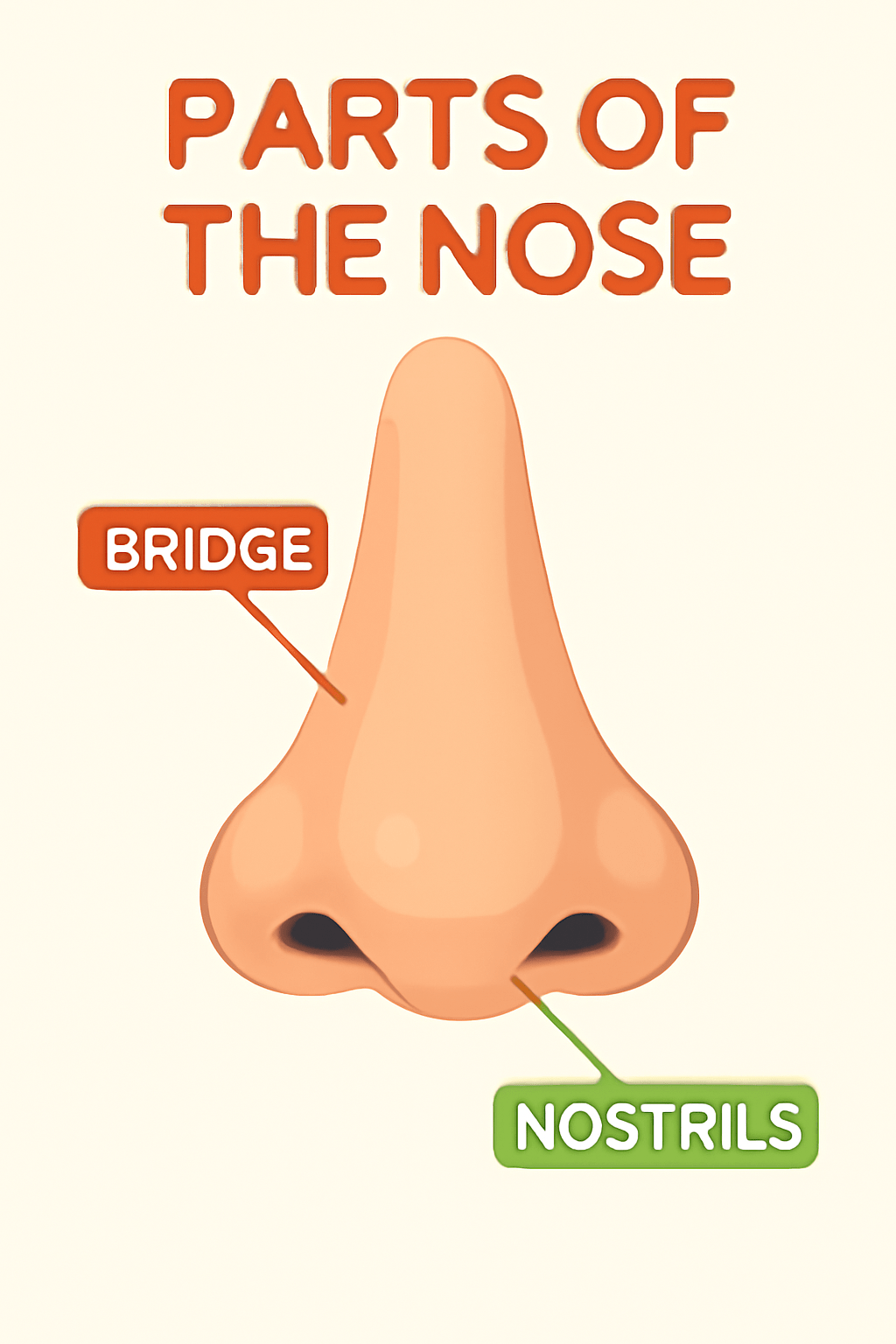 Child's nose with smiling face for kids learning