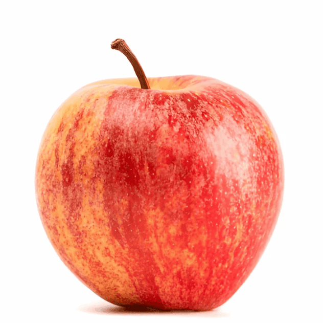 Gala Apple