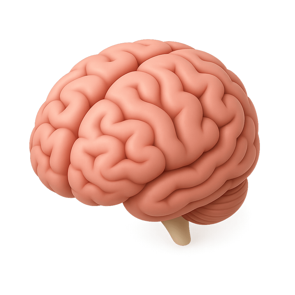 Brain Scratch Card Reveal