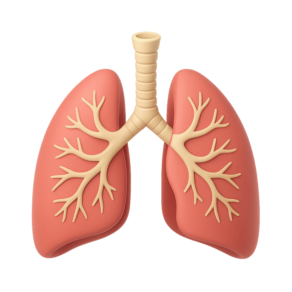 Lungs Function Learning
