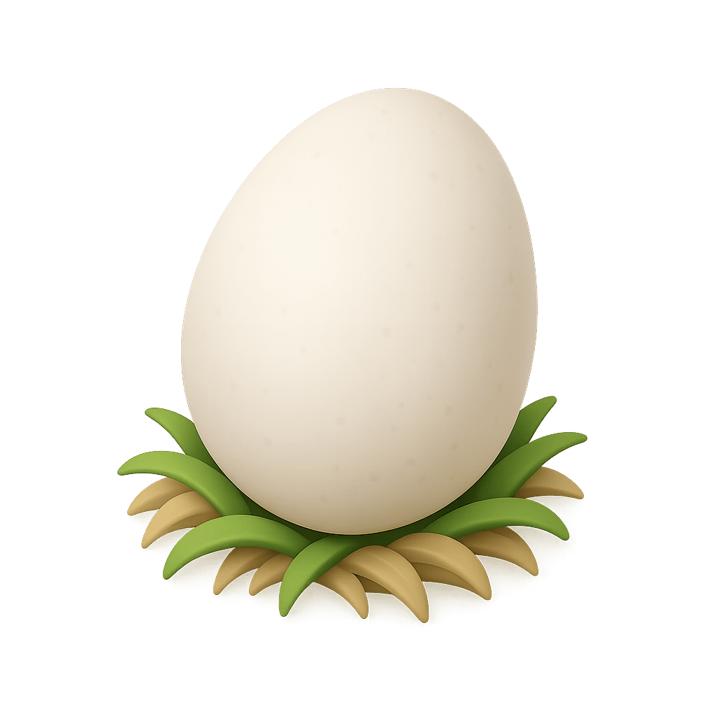 Egg