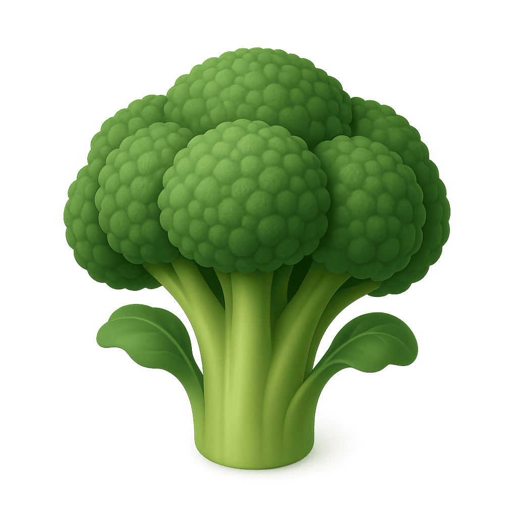 Fresh green broccoli for kids learning
