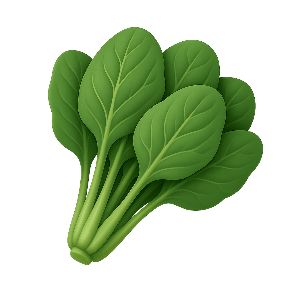 Fresh green spinach leaves for kids learning